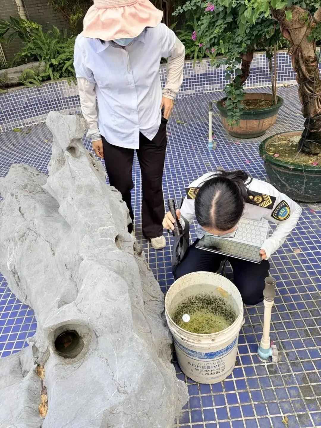 奥仁格管道提醒您关注：昨夜今晨重要事件速览，降温暴雨来袭，出行需警惕